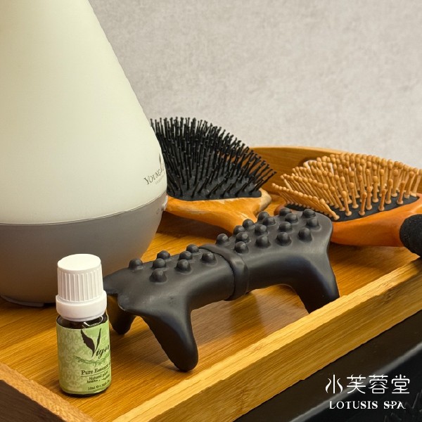 SPA教學