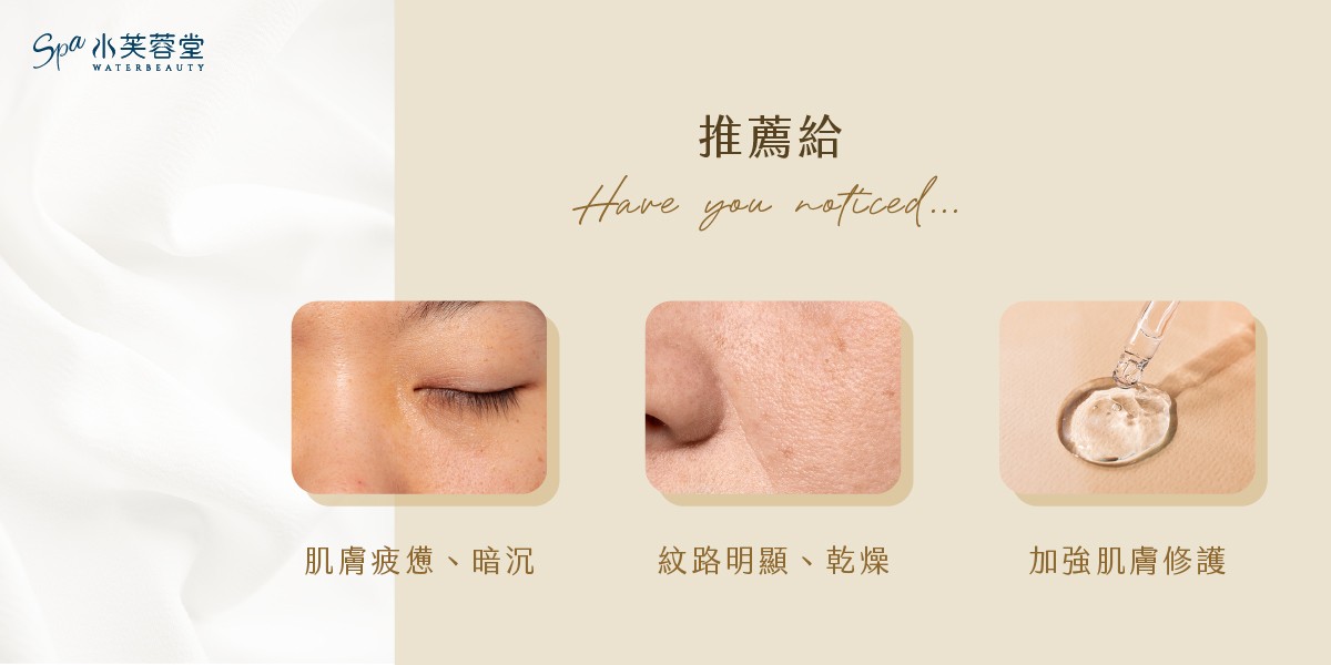 綠魚子極緻撫紋