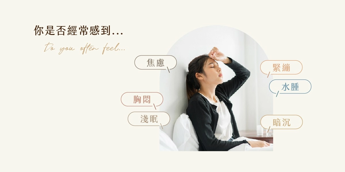芙蓉忘憂淨化療癒 芙蓉忘憂淨化療癒,身體舒壓推薦_4