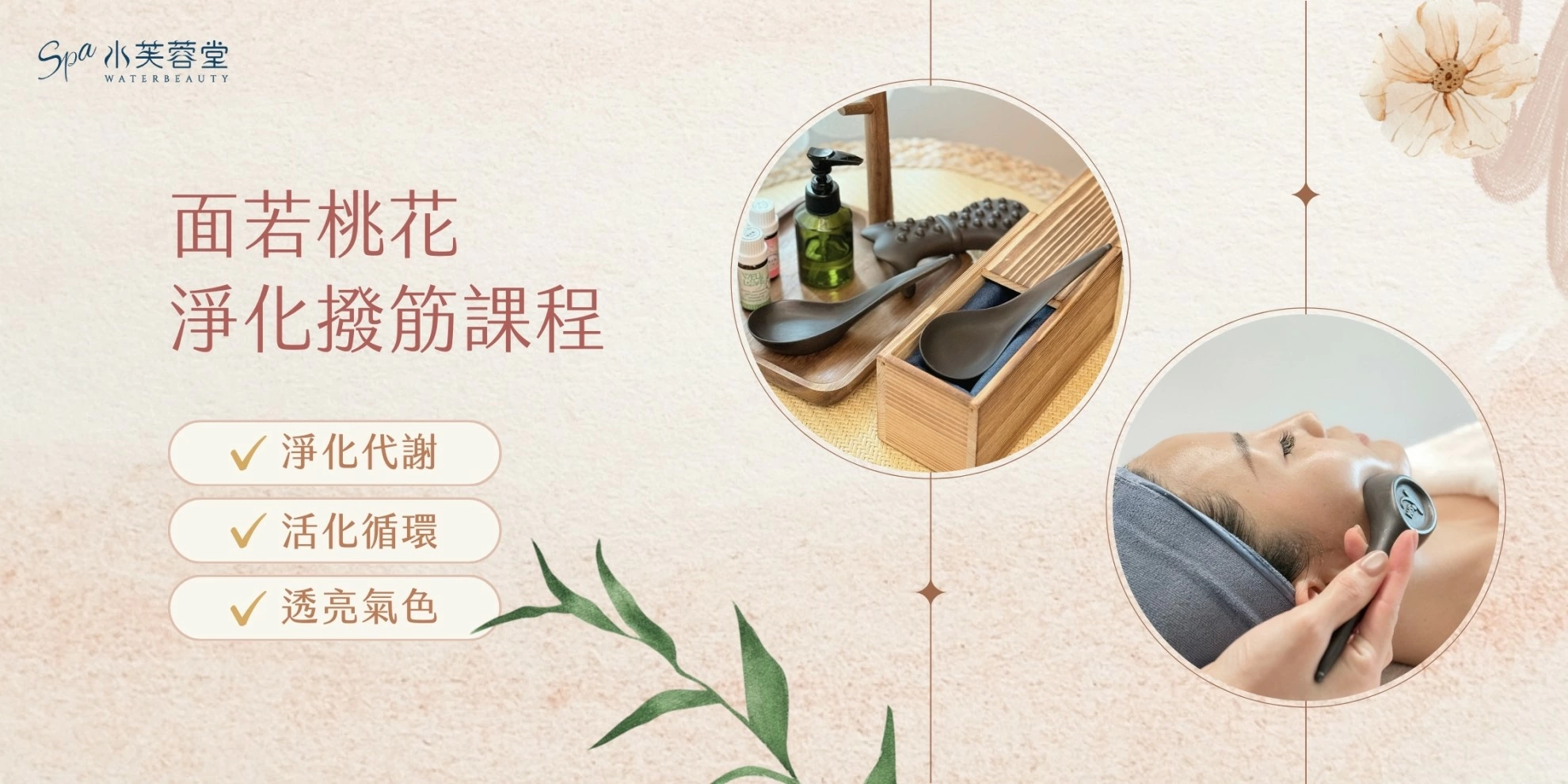 面若桃花淨化撥筋