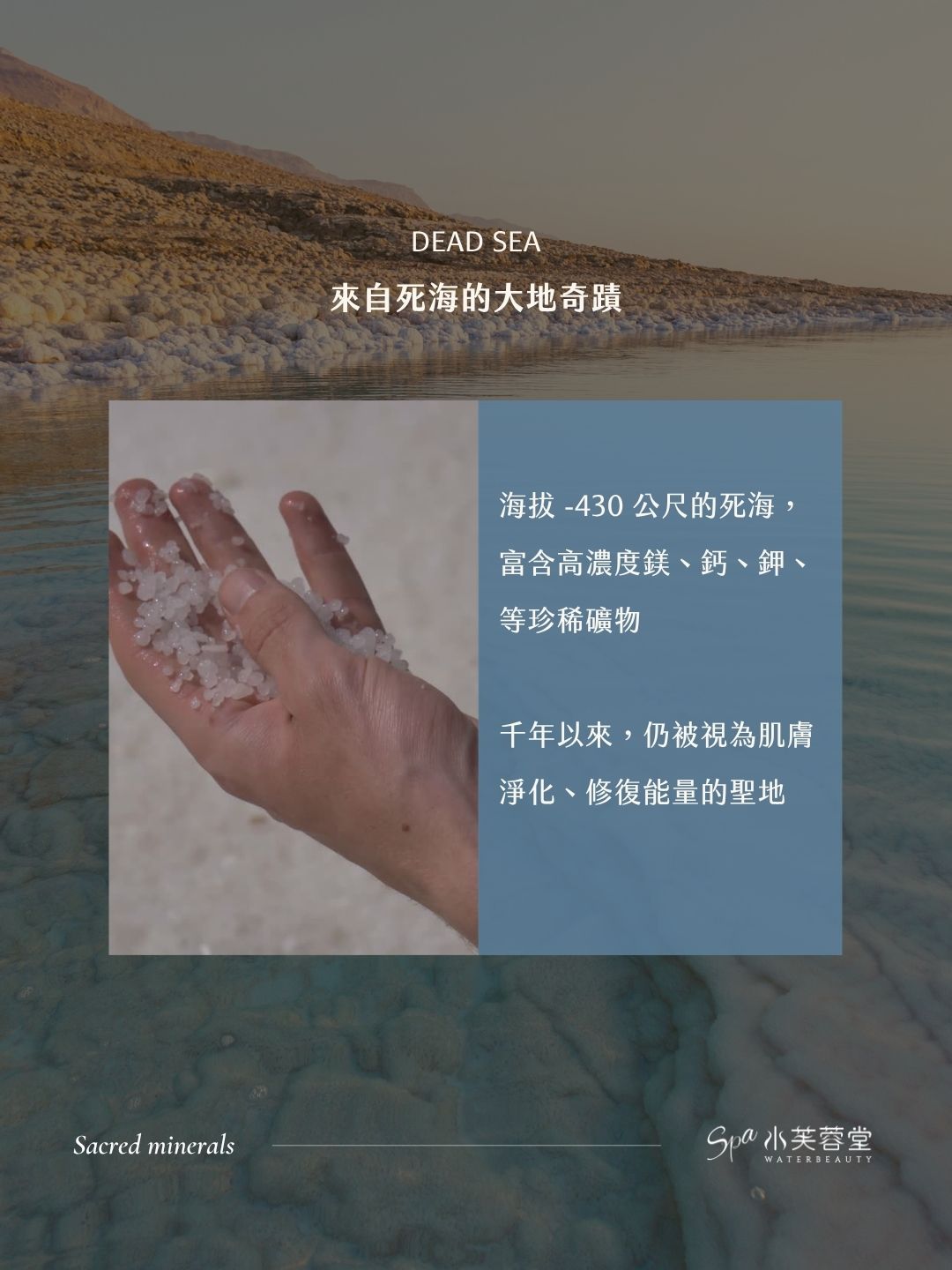 跨越千年的美力傳奇：深海奇蹟，重置高壓世代的身心節奏
