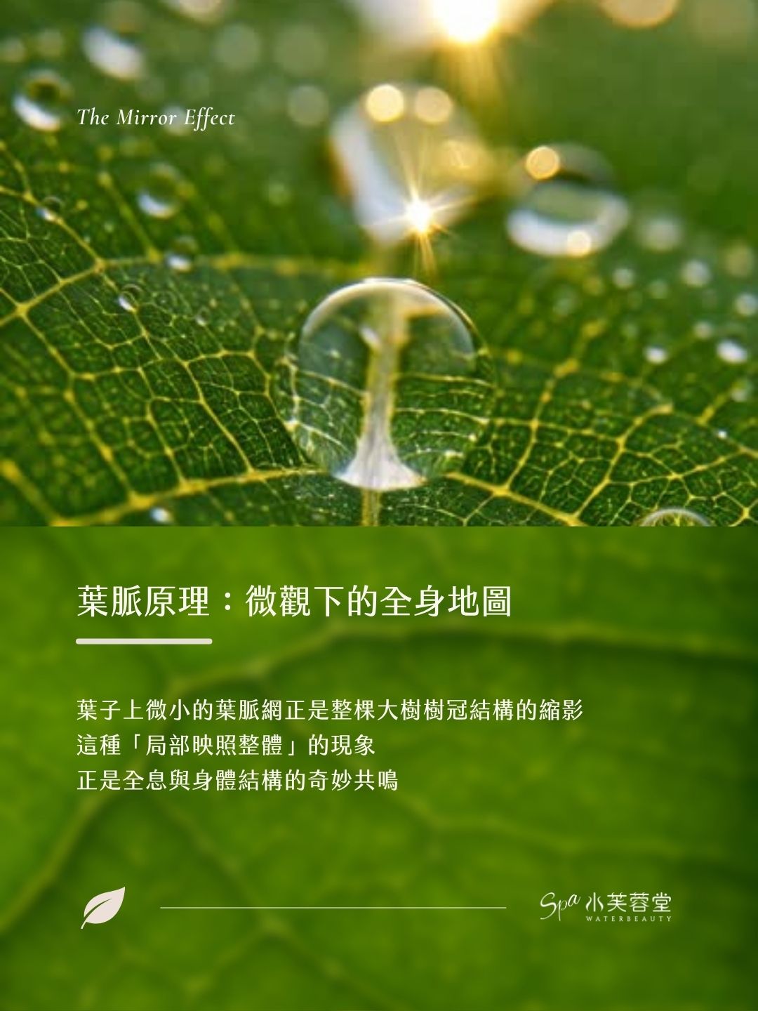 你知道嗎？身體裡藏著一幅縮小版的地圖