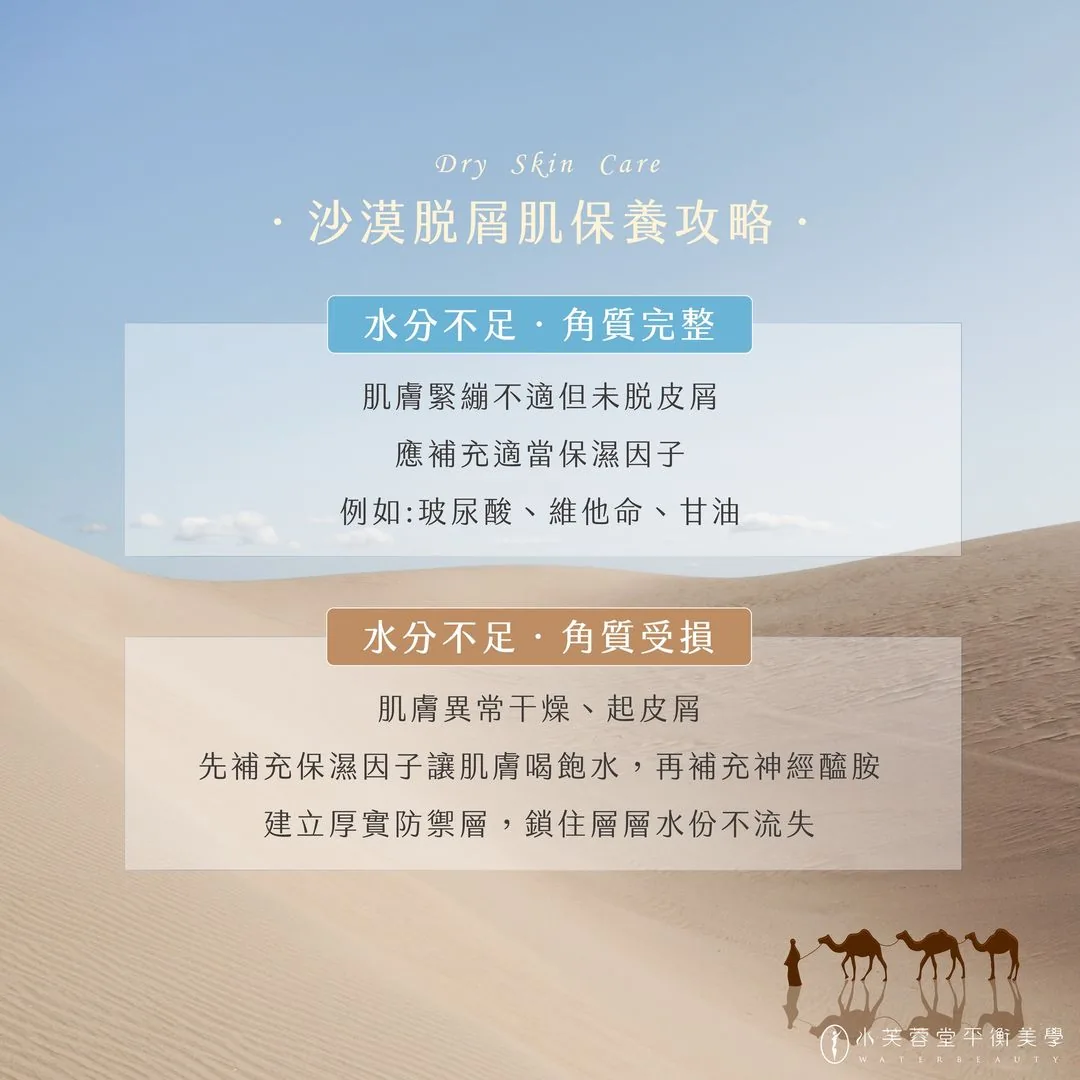 沙漠脫屑乾肌保養攻略🐫 沙漠脫屑乾肌保養攻略🐫