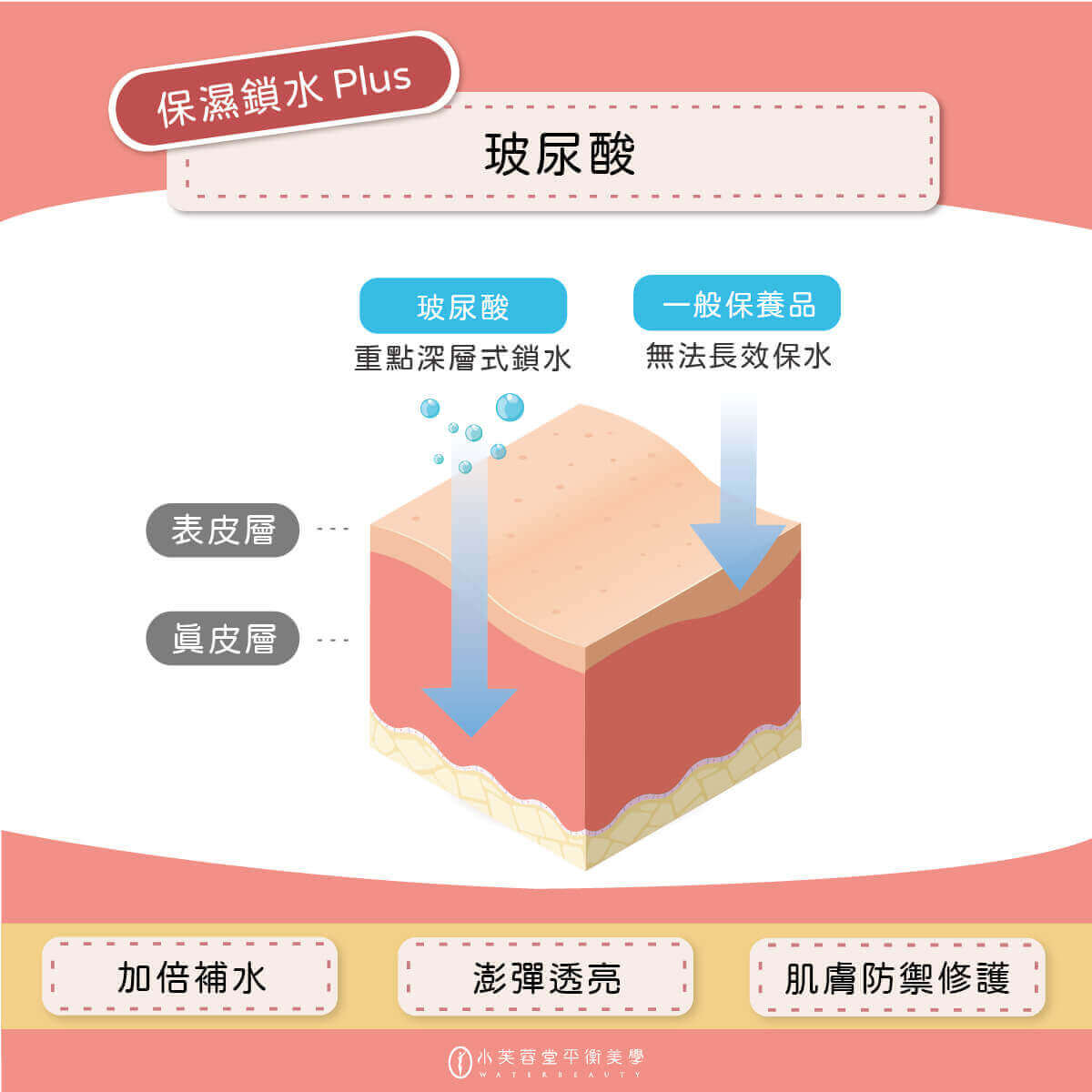 秋季肌膚保養攻略|玻尿酸深層補水,讓肌膚維持水潤彈性! 秋季肌膚保養攻略|玻尿酸深層補水,讓肌膚維持水潤彈性!